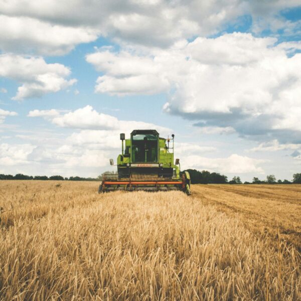 Formazione addetti alla conduzione di trattori agricoli e forestali a cingoli
