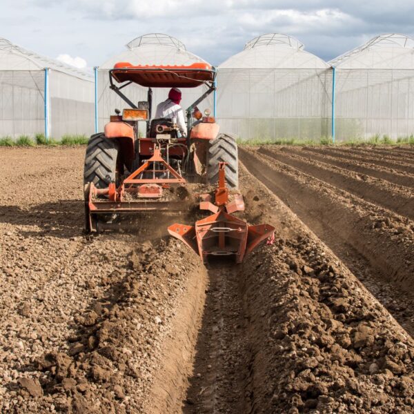 Formazione addetti alla conduzione di trattori agricoli e forestali a ruote