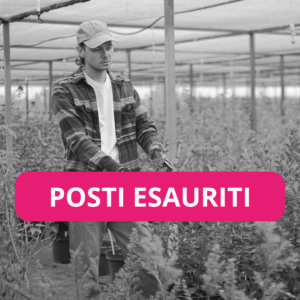 Formazione Specifica Lavoratori Rischio Medio